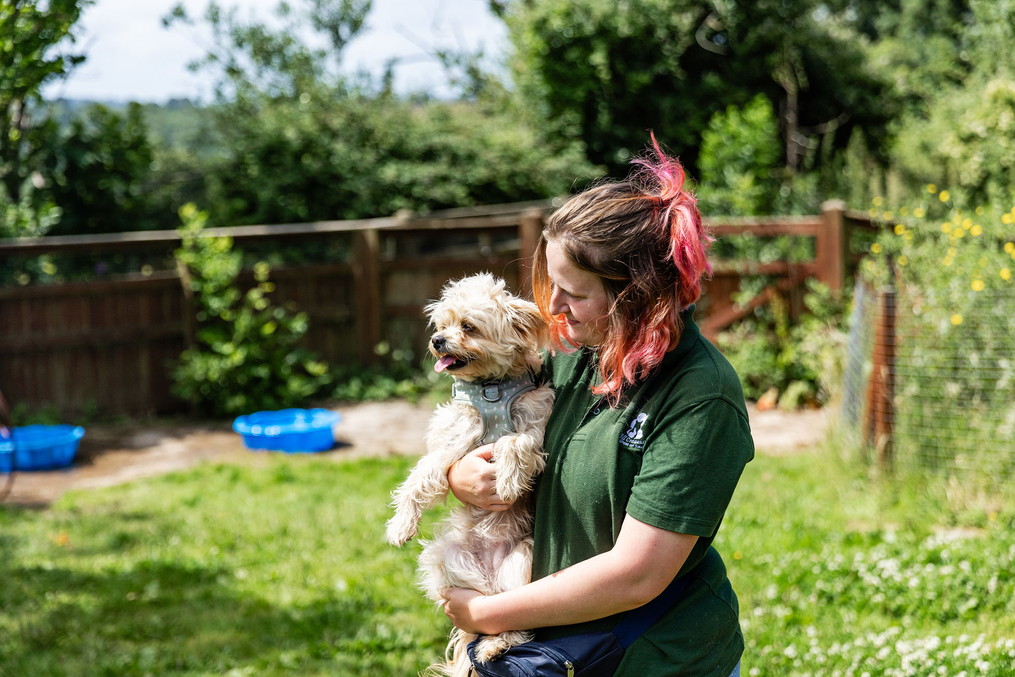 An All Creatures Great and Small staff member holding a dog 